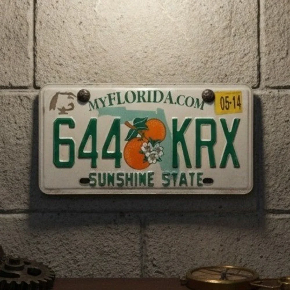Florida License Plate 644 KRX Sunshine State Oranges 2014 Decal Metal Decor